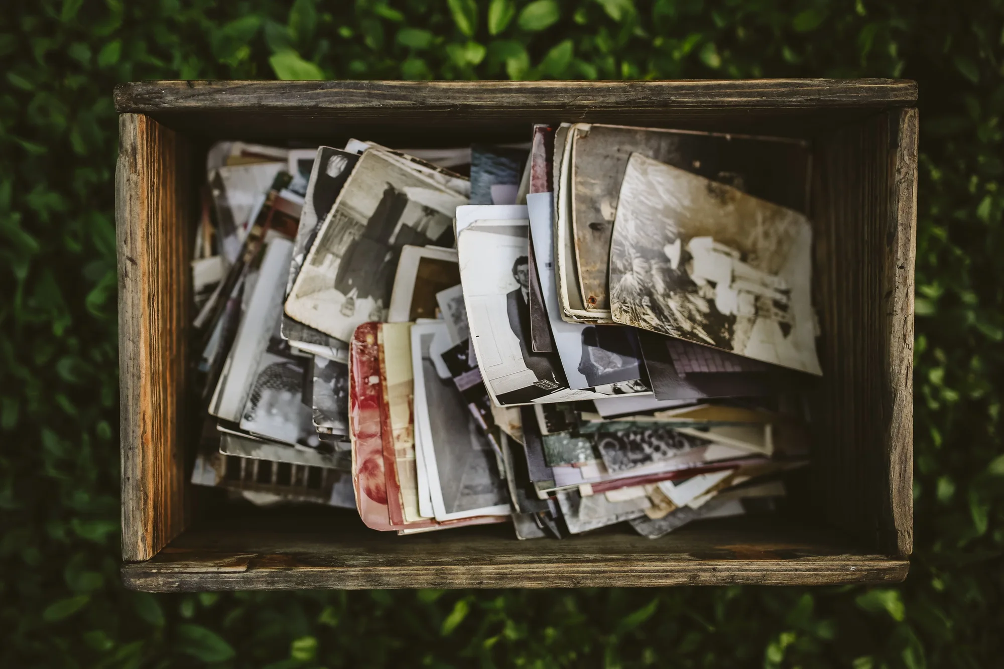 Où dénicher des images libres de droits pour ton site web ?