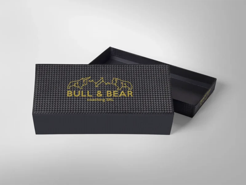 Présentation logo Bull & Bear - boite