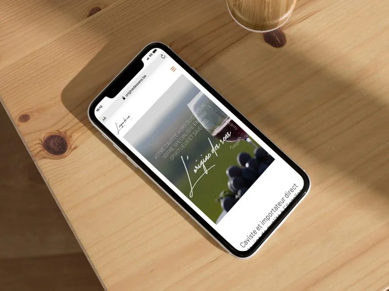 L'Origine des Sens - Site web