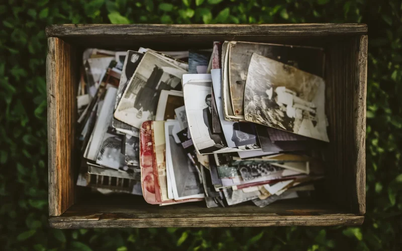 Image de l'article Où Trouver Des Photos Libres De Droit